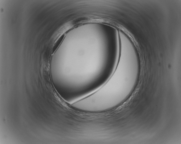 X0000087671193200705040717