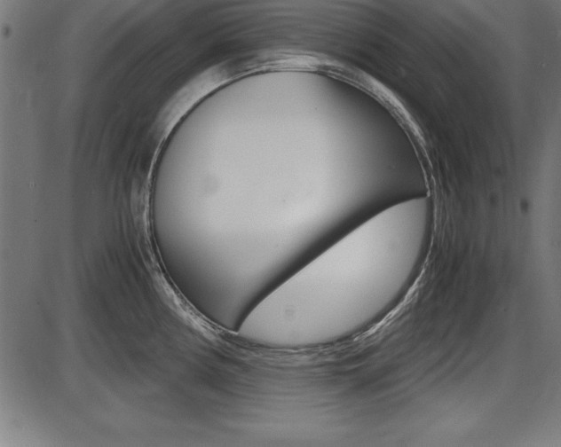 X0000087671194200705040717