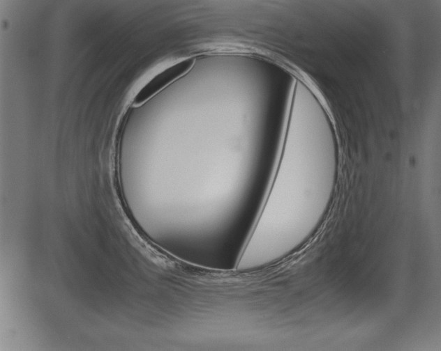 X0000087671195200705040717