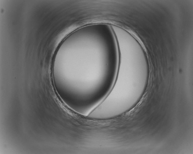 X0000087671197200705040717