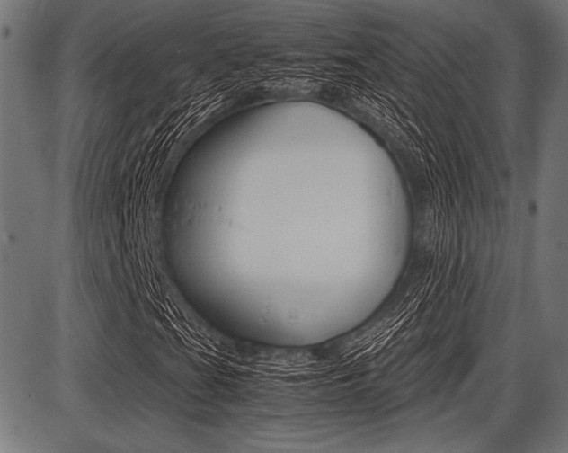 X0000087671201200705040717