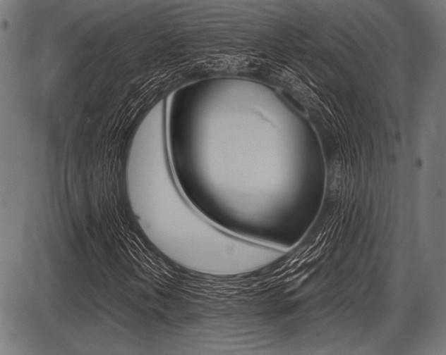 X0000087671202200705040717