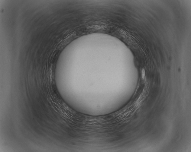 X0000087671203200705040717