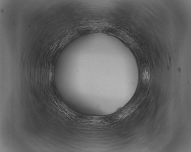 X0000087671204200705040717