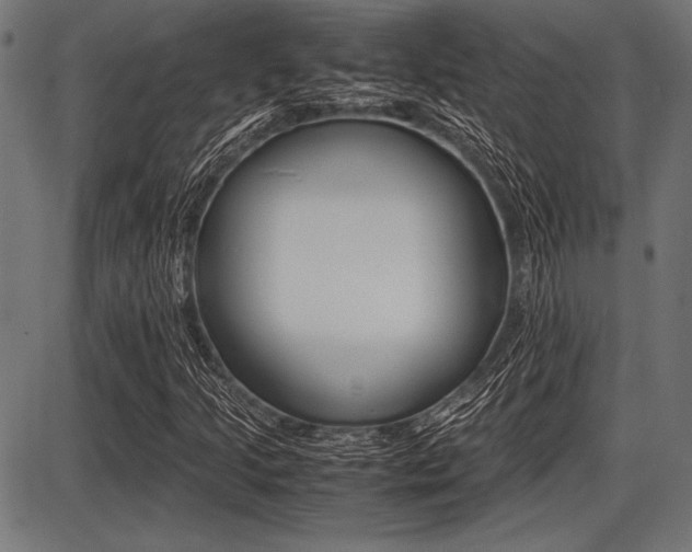 X0000087671205200705040717