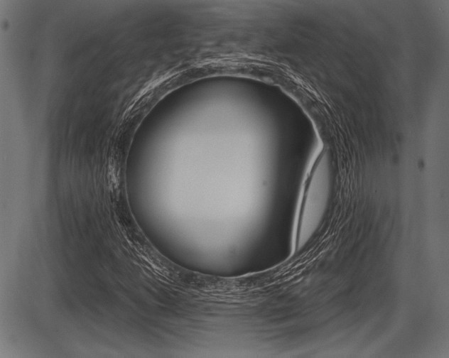 X0000087671206200705040717