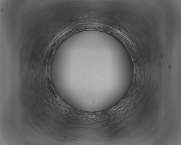 X0000087671207200705040717