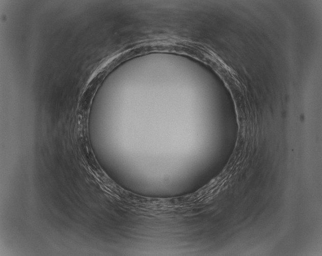 X0000087671208200705040717