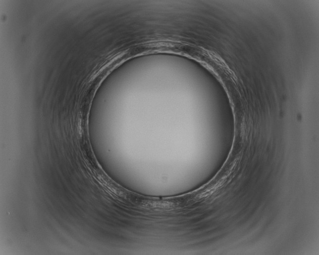 X0000087671209200705040717