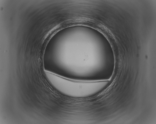 X0000087671210200705040717