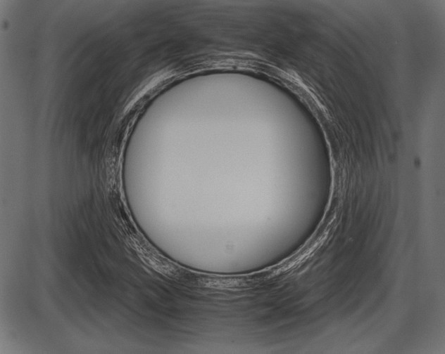 X0000087671211200705040717