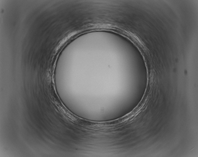 X0000087671212200705040717