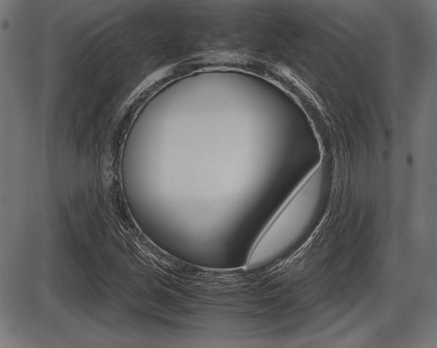 X0000087671213200705040717