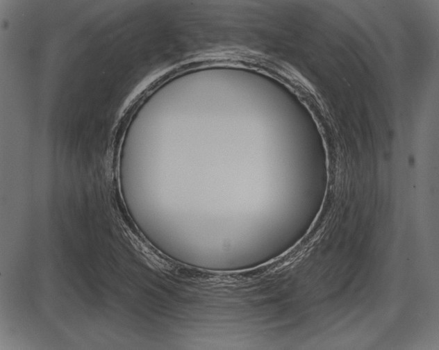 X0000087671216200705040717