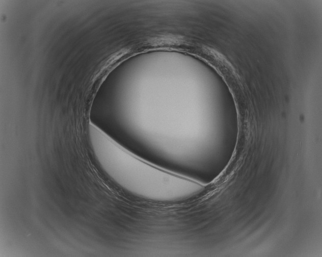 X0000087671217200705040717