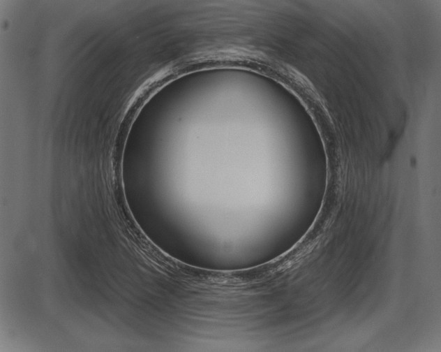 X0000087671218200705040717