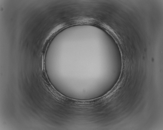 X0000087671219200705040717