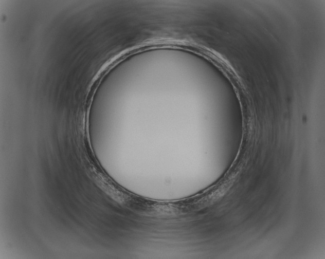 X0000087671220200705040717