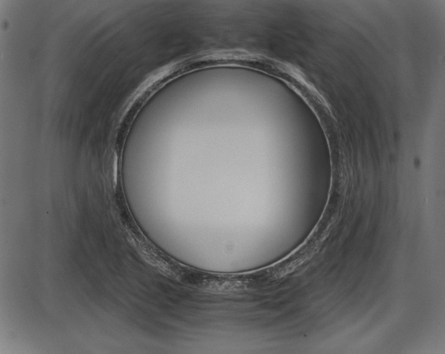 X0000087671221200705040717