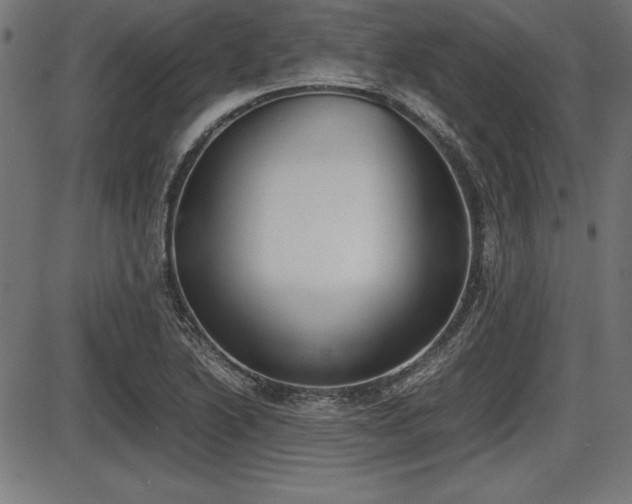 X0000087671222200705040717