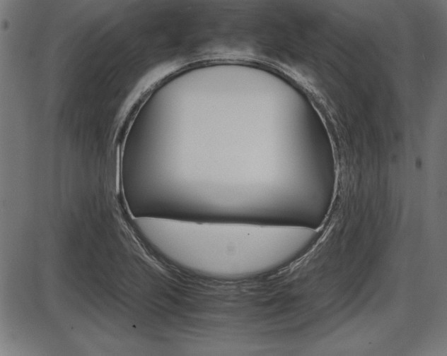 X0000087671223200705040717