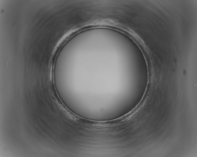 X0000087671224200705040717