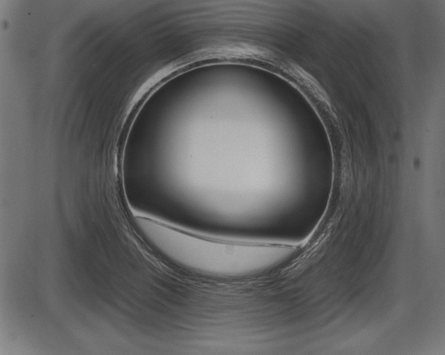 X0000087671226200705040717