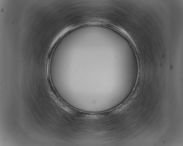 X0000087671227200705040717
