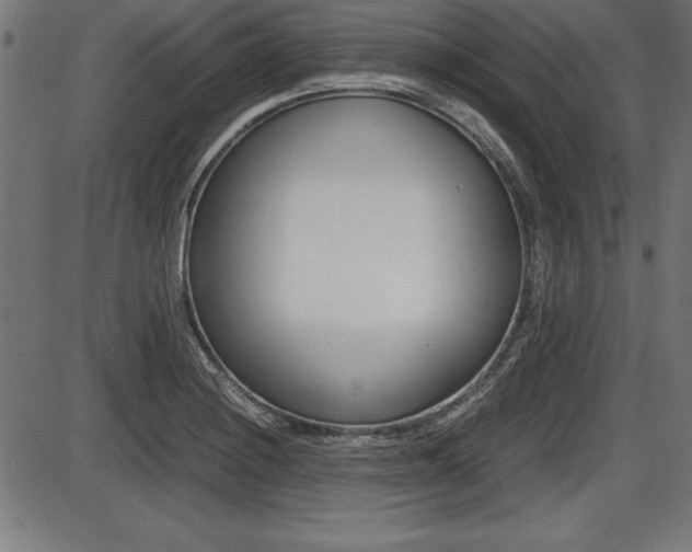 X0000087671228200705040717