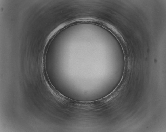 X0000087671229200705040717