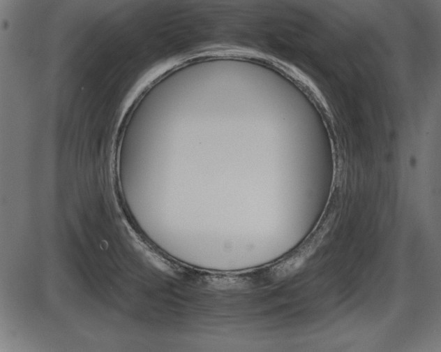 X0000087671231200705040717
