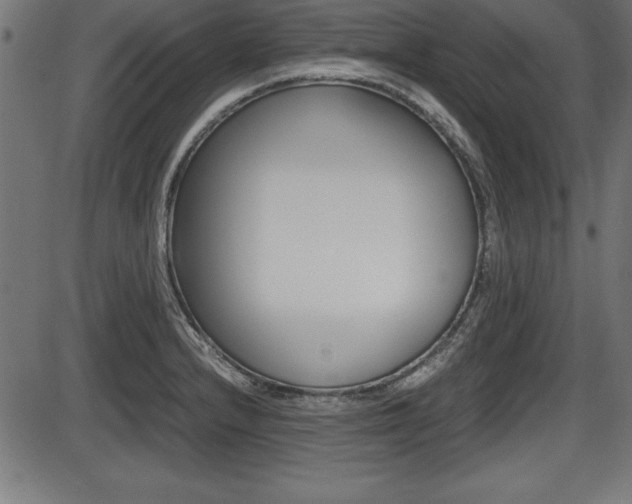 X0000087671232200705040717