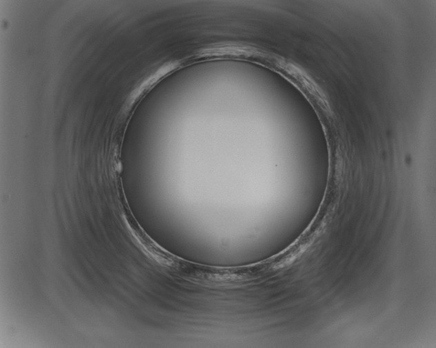 X0000087671233200705040717