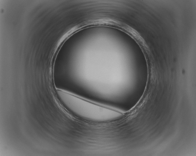 X0000087671234200705040717