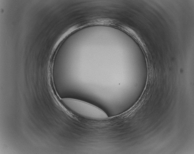 X0000087671235200705040717