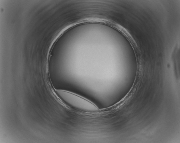X0000087671236200705040717