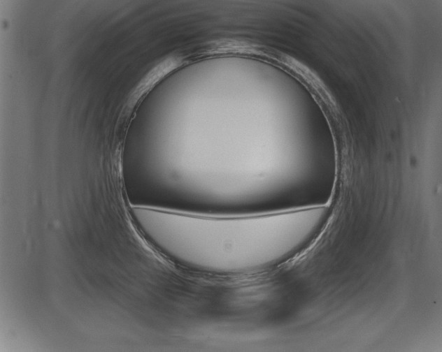X0000087671241200705040717
