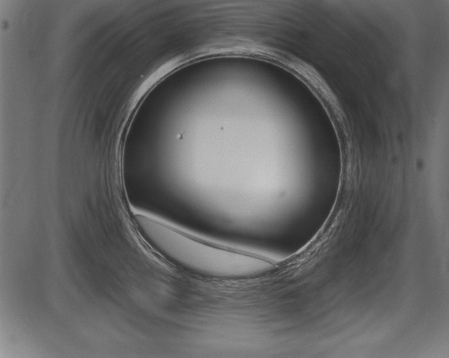 X0000087671242200705040717