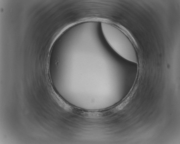 X0000087671244200705040717