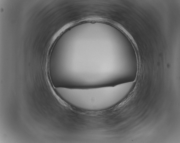 X0000087671245200705040717