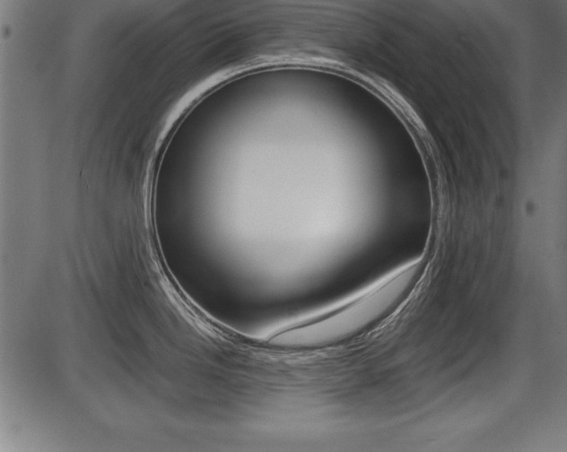X0000087671246200705040717