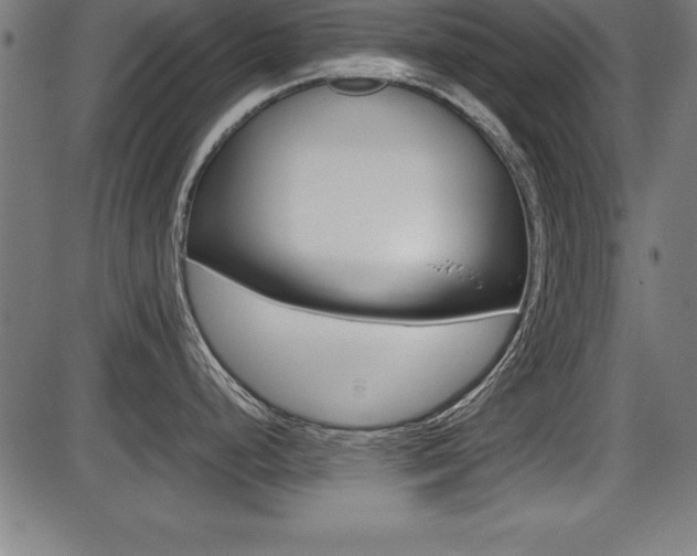 X0000087671248200705040717