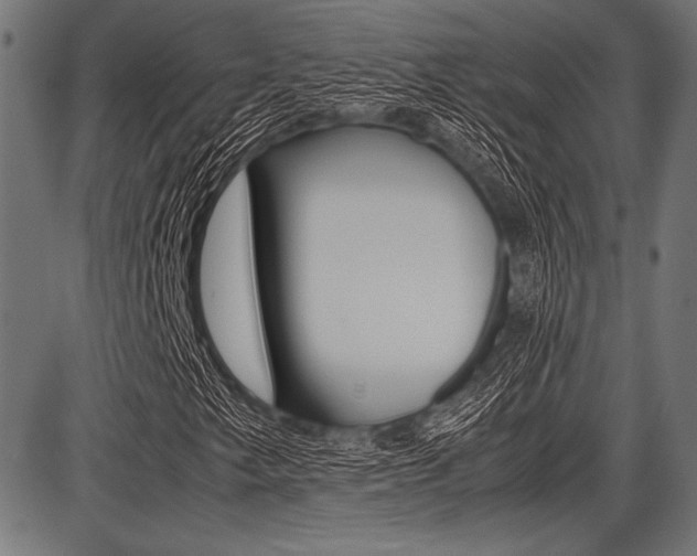 X0000087671249200705040717
