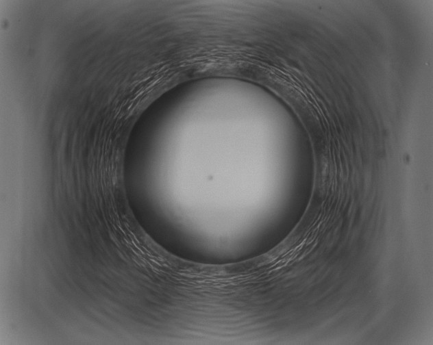 X0000087671250200705040717