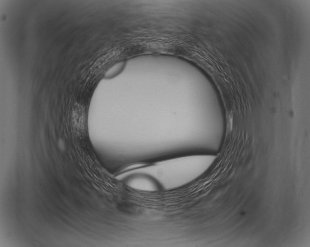 X0000087671251200705040717