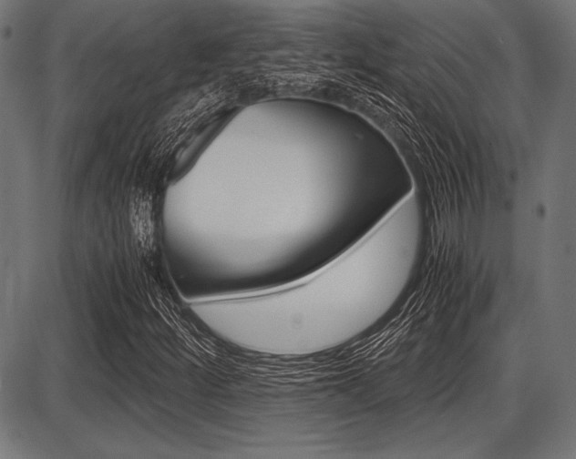 X0000087671252200705040717