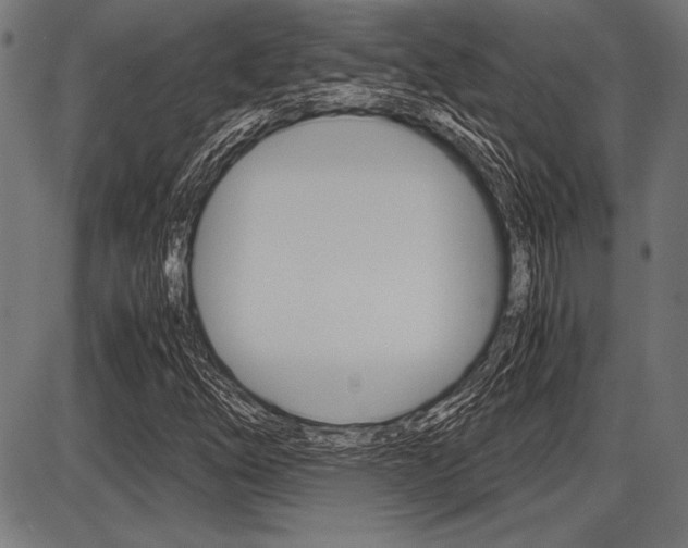 X0000087671254200705040716