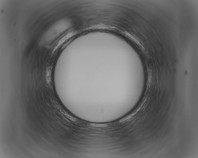 X0000087671258200705040716