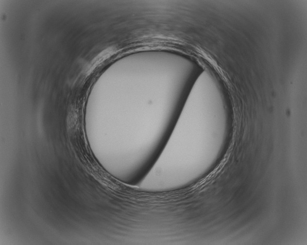 X0000087671259200705040716