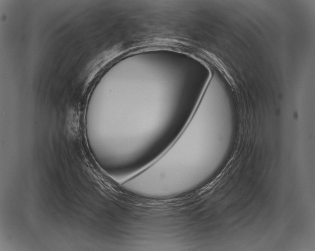 X0000087671260200705040716
